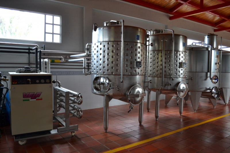 cave-AMPUS-min_wine_production_cantine_winery_drink_alcohol_vine_beverage-902036